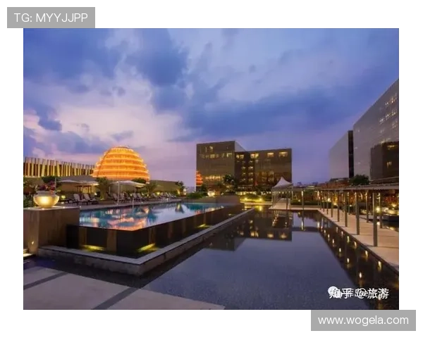 新濠博亚娱乐有限公司全面解析其发展历程与行业地位，助你深入了解行业领军企业